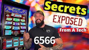 6566