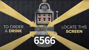 6566