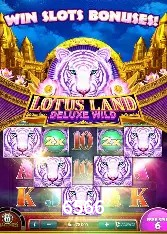 Casino Ao Vivo 6566